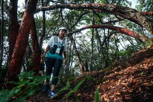 BIB: 
                            <button type="button" onclick="openModal(26344450)" class="btn btn-primary btn-sm float-right btn-popup" data-toggle="modal" data-target=".modal-high-quality">
                        <i class="fas fa-shopping-cart"></i> Add to Cart
                    </button>
                                            <button type="button" onclick="isThisMe(26344450, true)" class="btn btn-success btn-sm float-right btn-popup btn-isme hidden" data-toggle="tooltip" data-placement="bottom" title="นี่คือรูปของคุณใช่ไหม คลิกที่นี่เพื่อเอาเข้าอัลบั้ม">
                        <i class="fas fa-plus"></i> Add to album
                    </button>
                    <button type="button" onclick="isThisMe(26344450, false)" class="btn btn-warning btn-sm float-right btn-popup btn-isnotme hidden">
                        <i class="fas fa-ban"></i> Remove from album
                    </button>